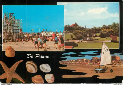 A6217 Belgique De Panne shells & multi views postcard