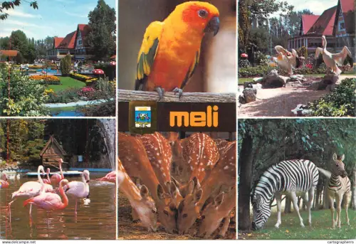 A6217 Belgique - MELI-PARK Adinkerke amusement park attractions Perroquet, Flamants, Daims, Pélicans et Zèbres