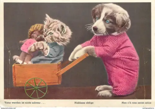 A6237 Carte Postale Humour / Animaux - "Noblesse oblige" / "Vater werden..." - Chien et Chat costumés poupée