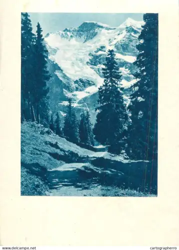 A6236 Suisse - Mürren - La Jungfrau vue de Mürren