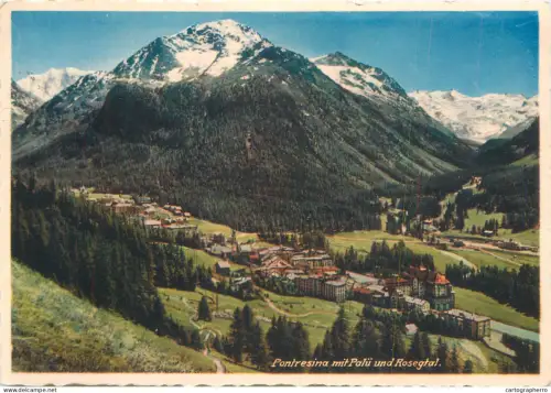 A6236 Switzerland - Pontresina mit Palü und Rosegtal - Vue panoramique du Village et Massif Alpin