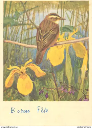 A6236 Oiseau Suisse 1960 - CPA Léo-Paul Robert : Le Phragmite des Joncs - Flamme Mécanique 41e Comptoir Suisse