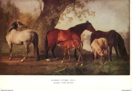 A6237 Art - George Stubbs : Mares and Foals (Juments et Poulains) - Thématique Chevaux