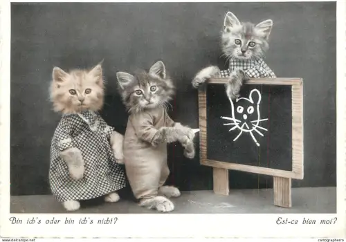 A6237 Carte Postale Animaux / Chats - "Est-ce bien moi ?" - Scène d'école, Chatons costumés 1940