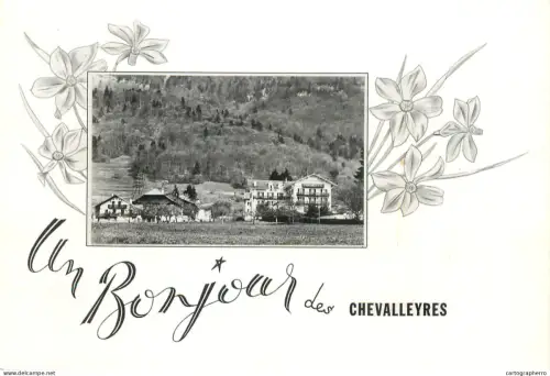 A6237 Suisse - Blonay - Chevalleyres - Un Bonjour de... - Animation, Narcisses, Village