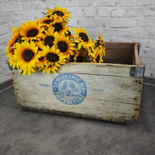 Antike Holzkiste De Werkende Bie Poperinghe Belgien Transportkiste WeeNTAGE