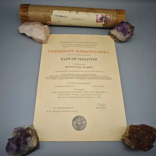 Heidelberg Doktorurkunde 1955 Medizin Cum Laude Elimar Molitor Papier WeeNTAGE