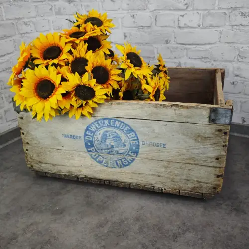 Antike Holzkiste De Werkende Bie Poperinghe Belgien Transportkiste WeeNTAGE