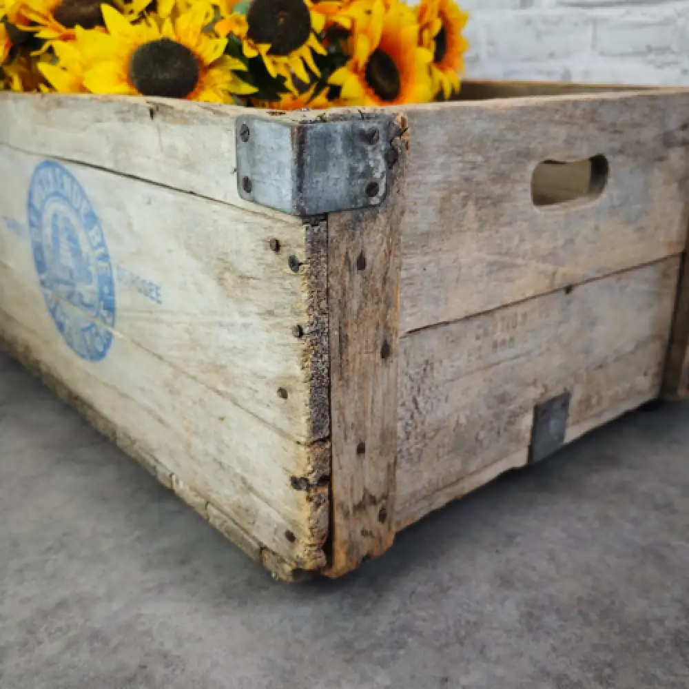Antike Holzkiste De Werkende Bie Poperinghe Belgien Transportkiste WeeNTAGE 4