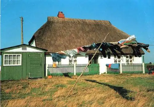 [Echtfotokarte farbig] Insel Hiddensee - Fischerhaus in Neuendorf. 