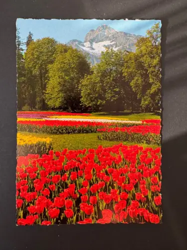 AK Vintage Postkarte Salzburg Schlosspark Hellbrunn Untersberg Blumenfeld
