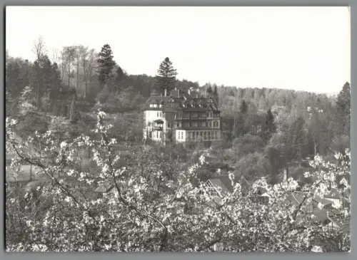 Fotografie Bad Liebenstein Haus Thüringen (AK025)