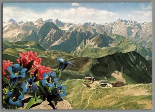 AK Nebelhorn Oberstdorf Allgäu Alpen Bergstation Enzian (K1068)