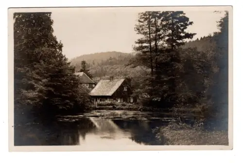 Foto AK Willi Kasig Wernigerode Original Handabzug Waldhaus Teich Harz (B1 361)