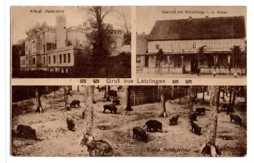 AK Letzlingen Jagdschloss Hirschburg Hofjagd Bismarck gelaufen (B2172)