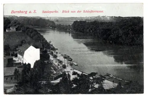 AK Bernburg Saale Schlossterrasse Saalepartie Zugstempel 1915 Wittenberg (B2236)