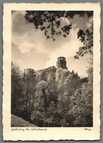 AK Heidelberg Schlosspark  Ruine Schloss Handabzug Foto (B2283)