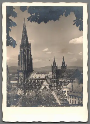 AK Freiburg Schwarzwald Münster Echtfoto ungelaufen Dom Kirche um 1935 (F1003)