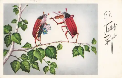 Pfingsten AK Maikäfer mit Geige Postkarte Berlin