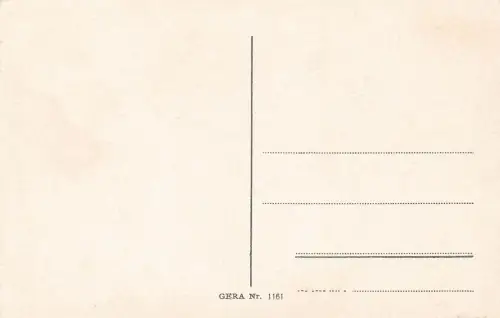 AK Leitmeritz Elbeansicht Dampfschiff Pirna Böhmen ungelaufen Postkarte