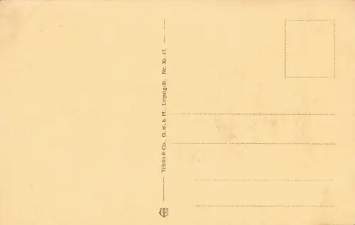 AK 1.WK Portrait von Beseler General Infanterie ungelaufen Patriotika Postkarte