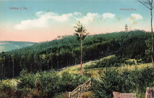 AK Löbau Friedrich August Turm Löbauer Berg Sachsen ungelaufen Postkarte