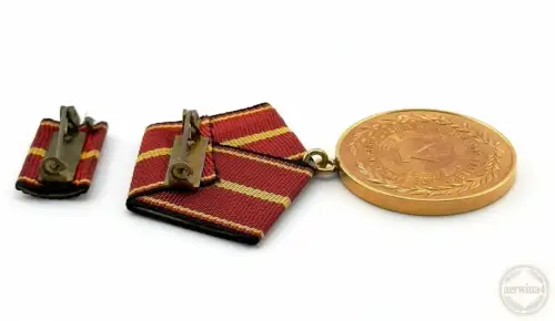 DDR Verdienstmedaille der NVA in Gold Urkunde Oberstleutnant 1977 Bartel 145e