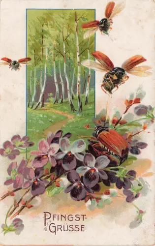AK Pfingst Grüsse Käfer Wald 1918