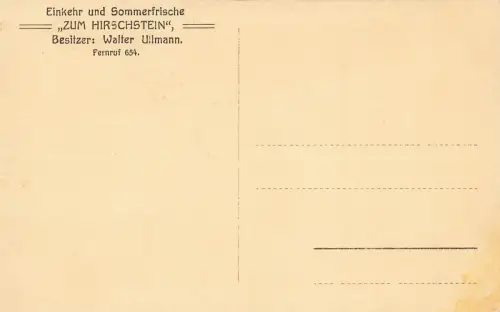 AK Greiz Gasthaus zum Hirschstein Schwanenhäuschen Thüringen Vogtland Postkarte