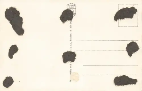 AK Deep Straßenpartie Pommern Stettin ungelaufen Postkarte