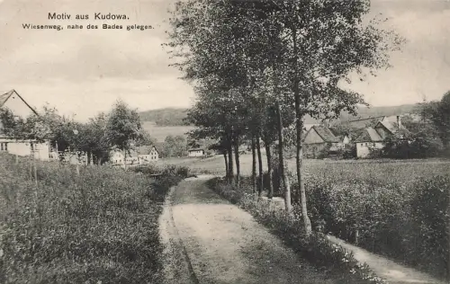 AK Kudowa Wiesenweg Niederschlesien ungelaufen