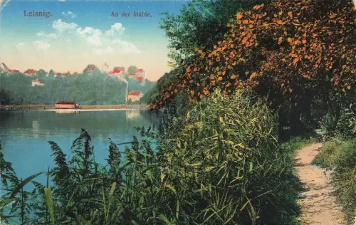 AK Leisnig An der Mulde Sachsen 1915 gelaufen Postkarte