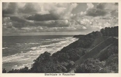 AK Rauschen Swetlogorsk Steilküste Ostpreussen ungelaufen Postkarte