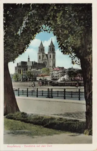 AK Magdeburg Dom Elbe Lok Sachsen-Anhalt ungelaufen Postkarte