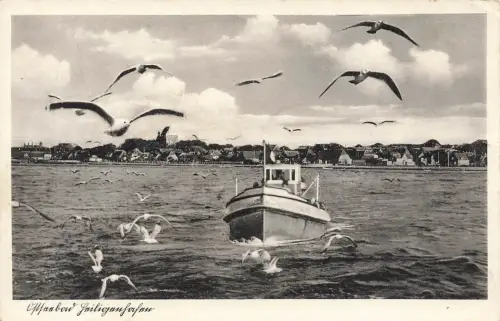 AK Heiligenhafen Ansicht Boot Möwen Schleswig-Holstein ungelaufen Postkarte