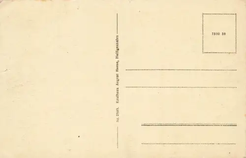 AK Heiligenhafen Ansicht Boot Möwen Schleswig-Holstein ungelaufen Postkarte