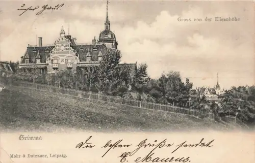 AK Grimma Elisenhöhe Sachsen 1906 gelaufen Postkarte