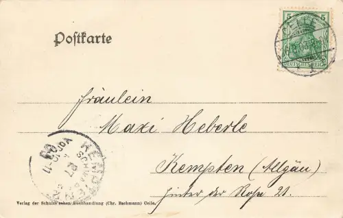 AK Celle Lüneburger Haide Stilleben Kühe Niedersachsen ungelaufen Postkarte