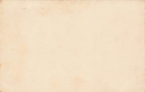 AK Bremen Lloyd Salondampfer Prinzeß Irene ungelaufen Postkarte