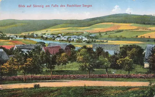 AK Sörnzig Stadtansicht Rochlitzer Berg Sachsen 1925 gelaufen Postkarte