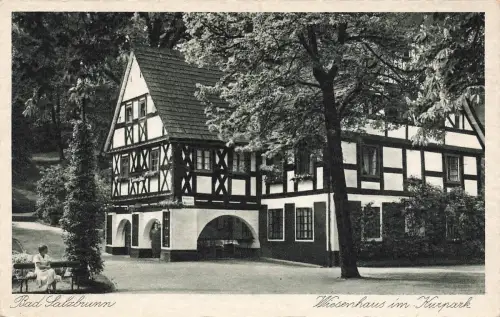 AK Bad Salzbrunnen Wiesenhaus Kurpark Niederschlesien 1941 gelaufen Postkarte