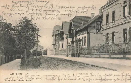 AK Artern Promenade Häuser Thüringen 1905 gelaufen Postkarte