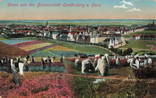 AK Quedlinburg Blumenstadt Stadtansicht Sachsen-Anhalt 1912 gelaufen Postkarte
