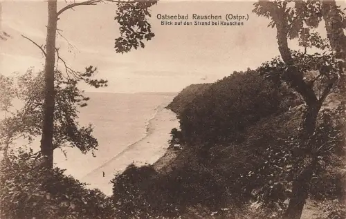 AK Rauschen Ostseebad Strand Ostpreussen ungelaufen Postkarte