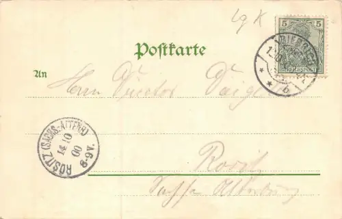 Biebrich a. Rh. Schloss Postkarte AK 1900