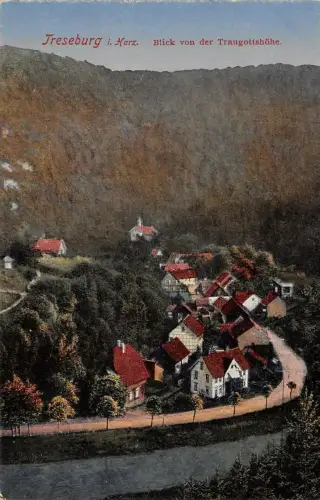 Treseburg i. Harz Blick von der Traugottshöhe Postkarte AK