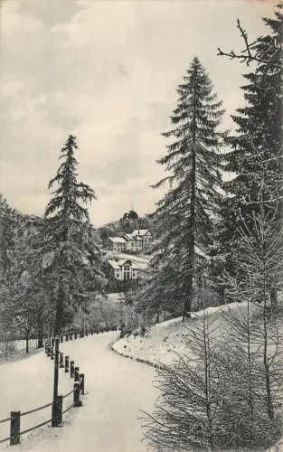 Blankenburg a. Harz Blick auf den Grossvater vom Schlossberg Postkarte AK 1910