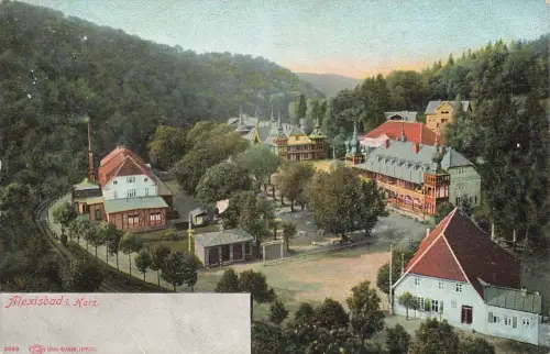 Ansicht auf Alexisbad im Harz Sachsen-Anhalt Postkarte AK 1906