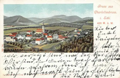 Gruss aus Charlottenbrunn i. Schl. Postkarte AK 1905