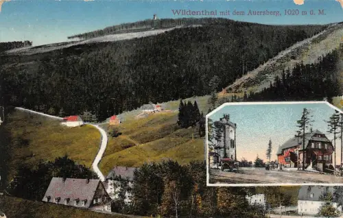 Wildenthal mit dem Auerberg Erzgebirge Sachsen Postkarte AK 1914
